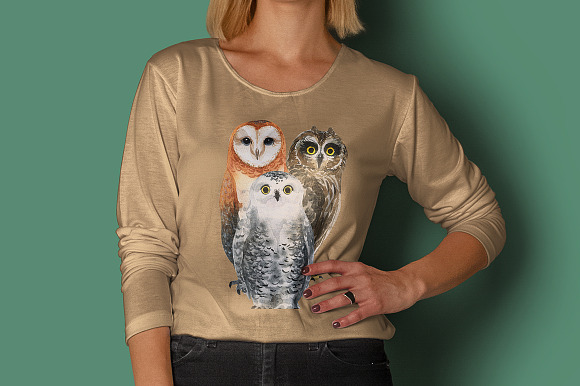 OWLS-watercolor illustrations in Illustrations - product preview 3