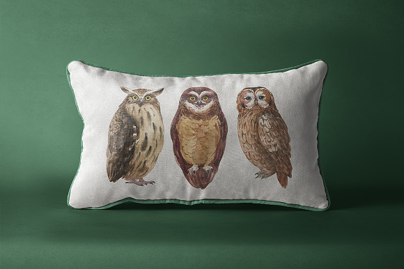 OWLS-watercolor illustrations in Illustrations - product preview 4