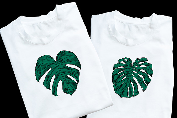 Green MONSTERA Leaves in Illustrations - product preview 1
