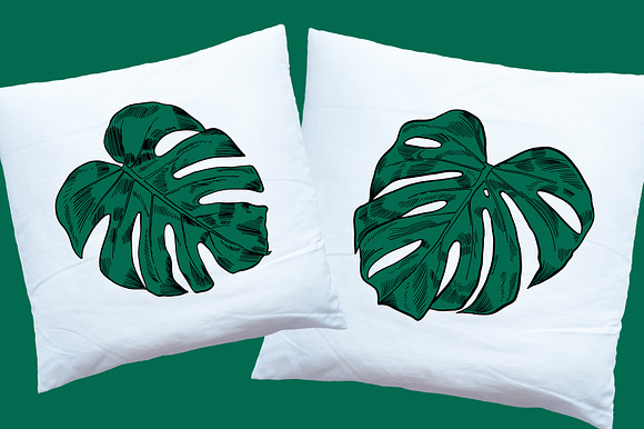Green MONSTERA Leaves in Illustrations - product preview 4