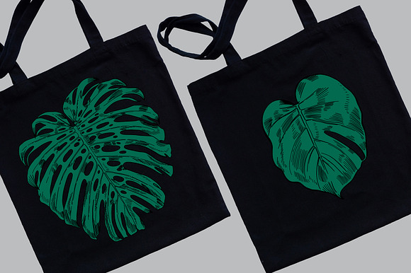 Green MONSTERA Leaves in Illustrations - product preview 6