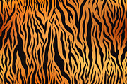 Bright colour tiger skin pattern