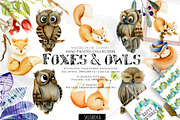 Foxes & Owls. Watercolor clipart.