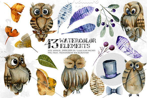 Foxes & Owls. Watercolor clipart. in Illustrations - product preview 2