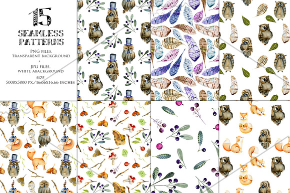 Foxes & Owls. Watercolor clipart. in Illustrations - product preview 4