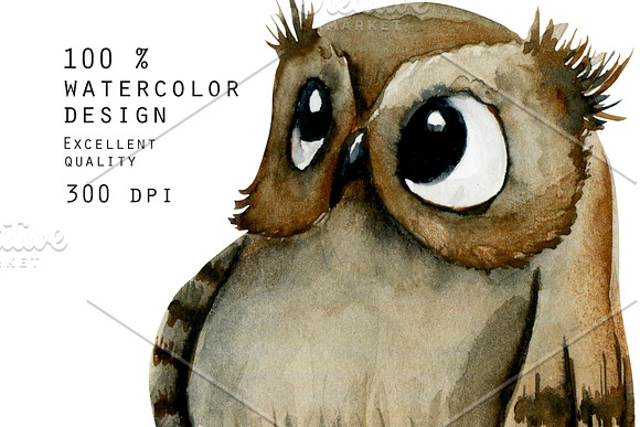 Foxes & Owls. Watercolor clipart. in Illustrations - product preview 10