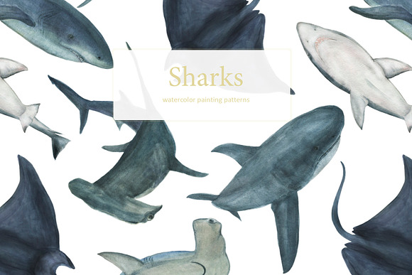 Sharks -watercolor painting patterns in Patterns - product preview 6