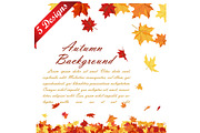 Set of 5 Autumn Designs