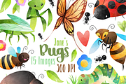 Watercolor Bugs Clipart