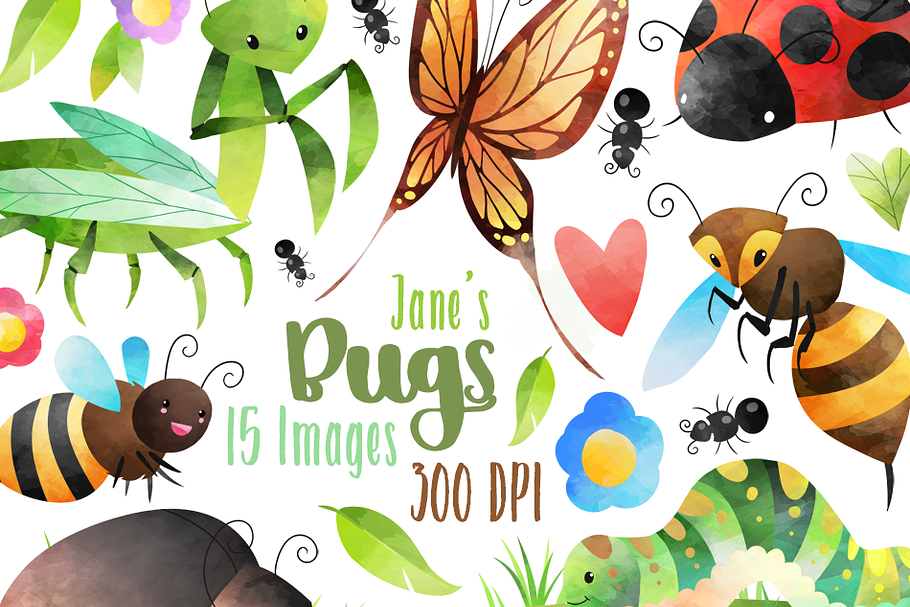 Watercolor Bugs Clipart in Illustrations - product preview 8