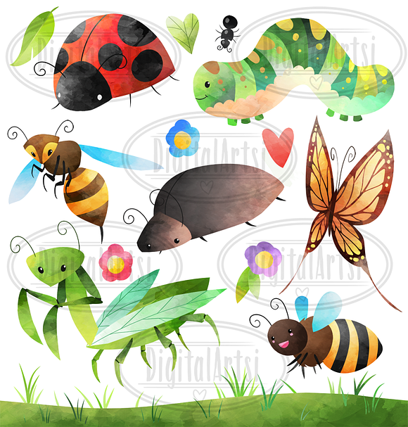 Watercolor Bugs Clipart in Illustrations - product preview 1