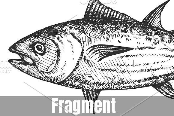 Big and small sea fish in Illustrations - product preview 1