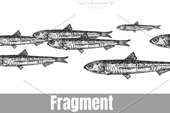 Big and small sea fish in Illustrations - product preview 2