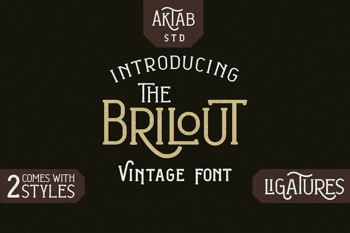 Brilout Display Font in Display Fonts - product preview 8