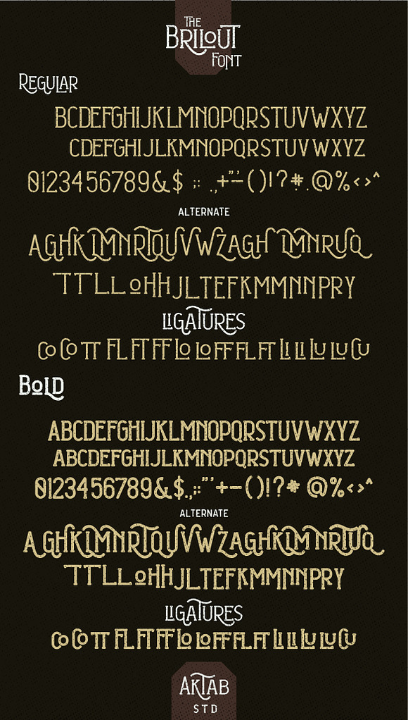 Brilout Display Font in Display Fonts - product preview 9