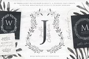 Joelle Watercolor Collection