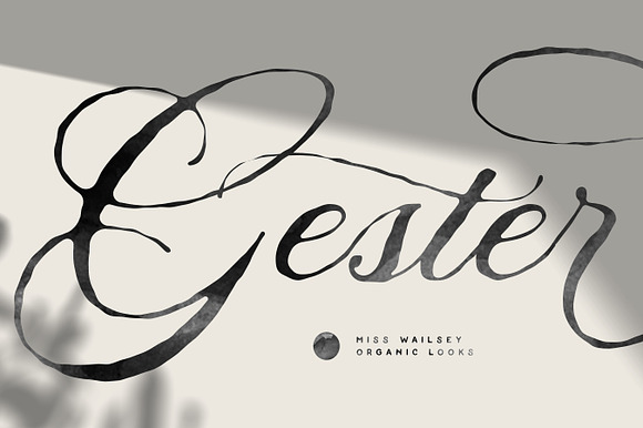 Miss Wailsey | Organic Calligraphy in Script Fonts - product preview 5