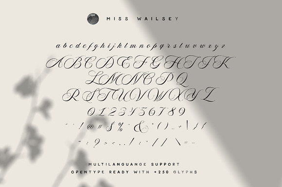 Miss Wailsey | Organic Calligraphy in Script Fonts - product preview 6