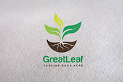 GreatLeaf / Eco design Logo Template