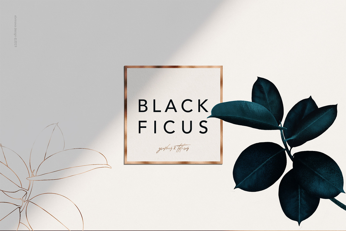 Ficus plants & textures in Illustrations - product preview 8