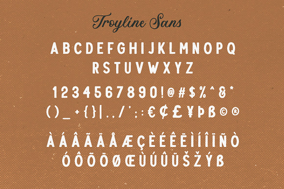 Troyline - Font Duo (+Logotype) in Script Fonts - product preview 7