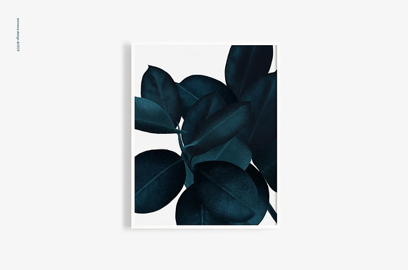 Ficus plants & textures in Illustrations - product preview 3