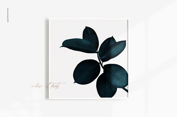 Ficus plants & textures in Illustrations - product preview 5