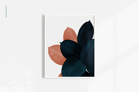 Ficus plants & textures in Illustrations - product preview 6