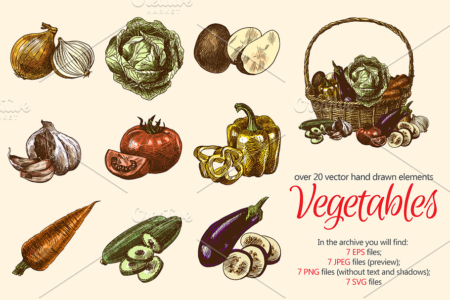 Sketch Vegetables Set in Illustrations - product preview 8