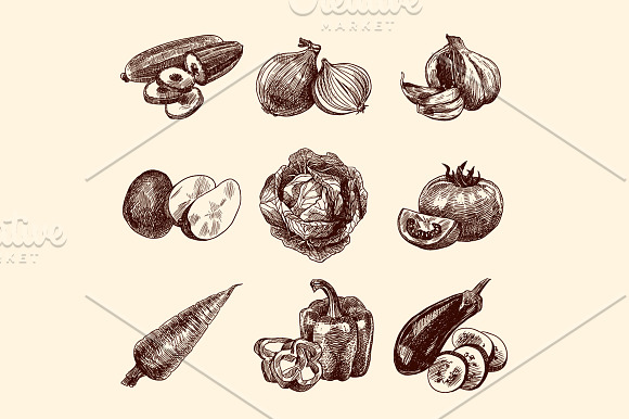 Sketch Vegetables Set in Illustrations - product preview 1