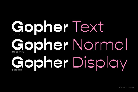 Gopher Complete Font Family in Sans-Serif Fonts - product preview 2