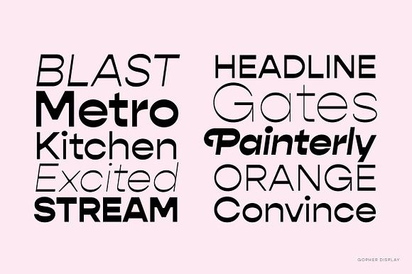 Gopher Complete Font Family in Sans-Serif Fonts - product preview 4
