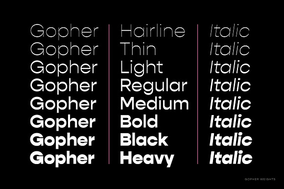 Gopher Complete Font Family in Sans-Serif Fonts - product preview 7