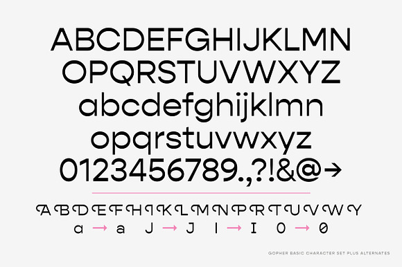 Gopher Complete Font Family in Sans-Serif Fonts - product preview 8