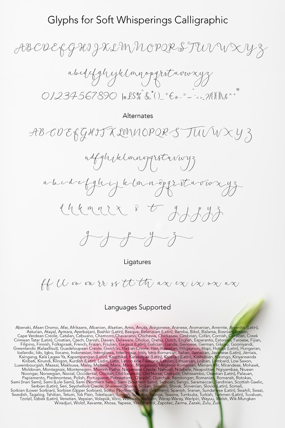 Soft Whisperings Calligraphic in Script Fonts - product preview 7