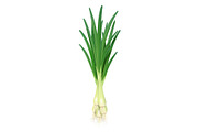 Onion. Ripe green vegetable. Vector.