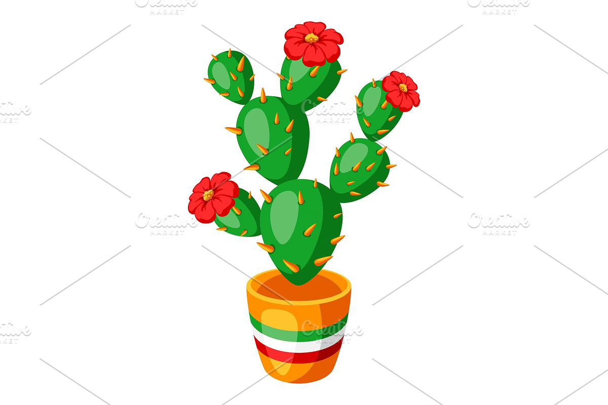 Illustration of spiny cactus with in Illustrations - product preview 8