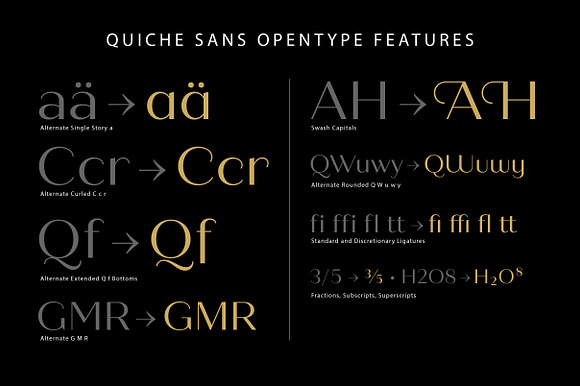 Quiche Sans Regular & Bold Fonts in Professional Fonts - product preview 11