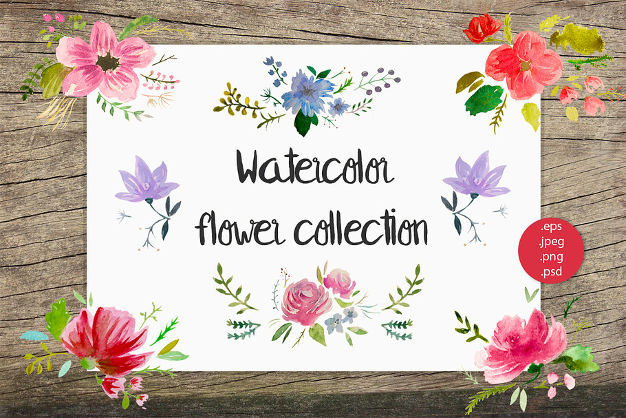 Watercolor flower set, hand-painted