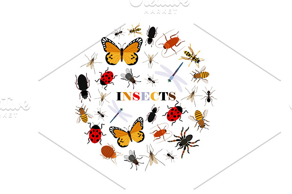 Flat insects vector icons in round
