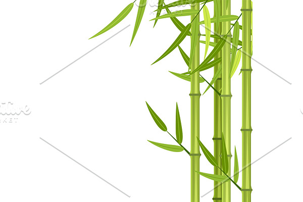 Vector green bamboo stems