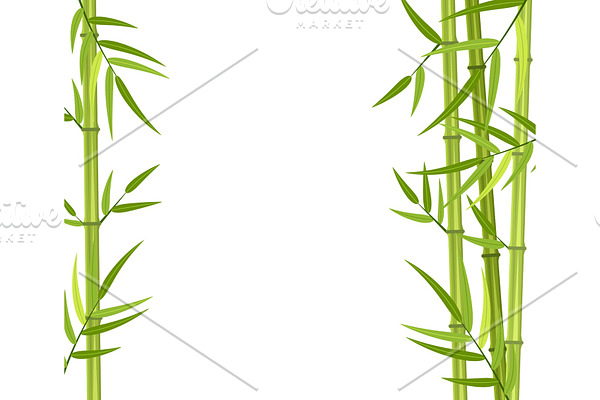 Vector green bamboo stems