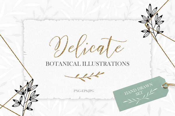 Delicate Botanical Illustrations