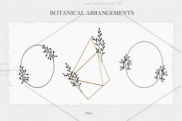 Delicate Botanical Illustrations in Illustrations - product preview 8