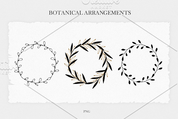 Delicate Botanical Illustrations in Illustrations - product preview 11
