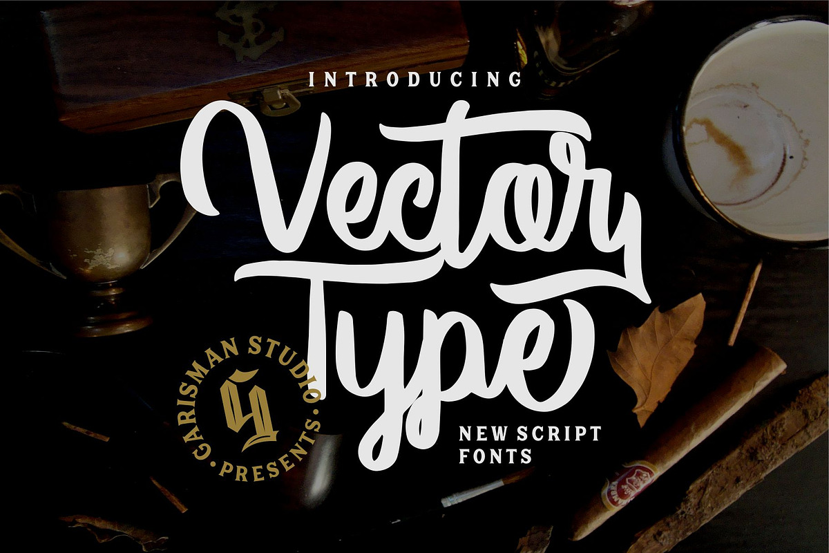Vector Type in Script Fonts - product preview 8