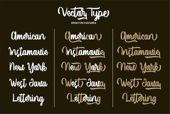 Vector Type in Script Fonts - product preview 2