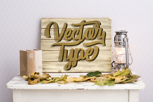 Vector Type in Script Fonts - product preview 5