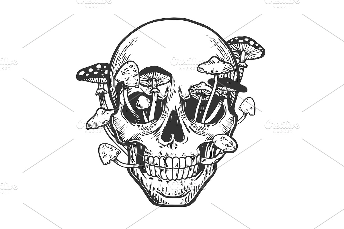 Human skull with mushrooms sketch in Illustrations - product preview 8