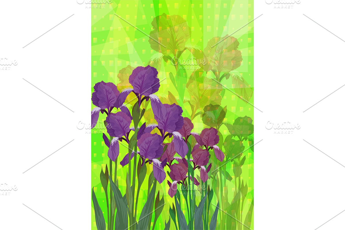 Flowers Iris in Illustrations - product preview 8